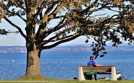 Ziele im Leben finden